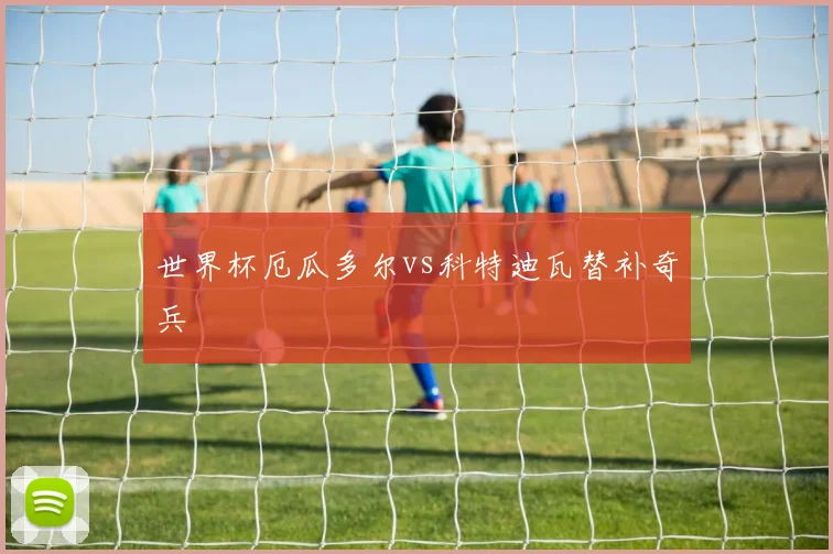 世界杯厄瓜多尔vs科特迪瓦替补奇兵