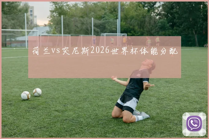 荷兰vs突尼斯2026世界杯体能分配