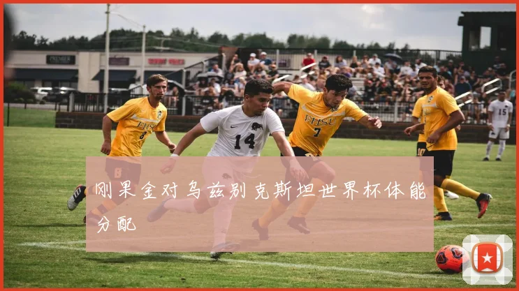 刚果金对乌兹别克斯坦世界杯体能分配