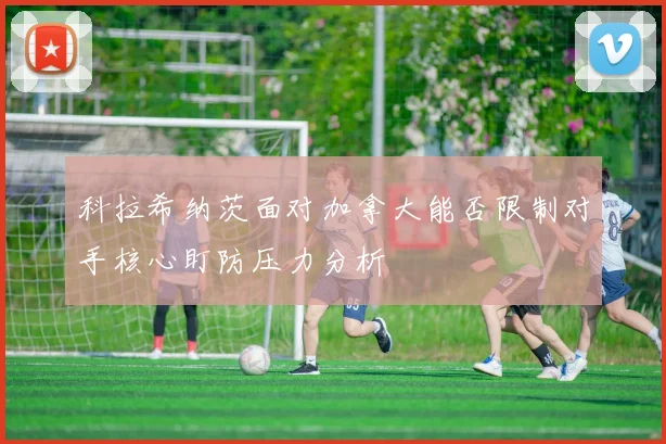 科拉希纳茨面对加拿大能否限制对手核心盯防压力分析