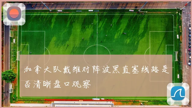 加拿大队戴维对阵波黑直塞线路是否清晰盘口观察